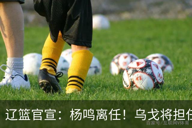 辽篮官宣：杨鸣离任！乌戈将担任辽宁男篮主帅